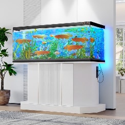 Aquarium Cabinet by Tespara