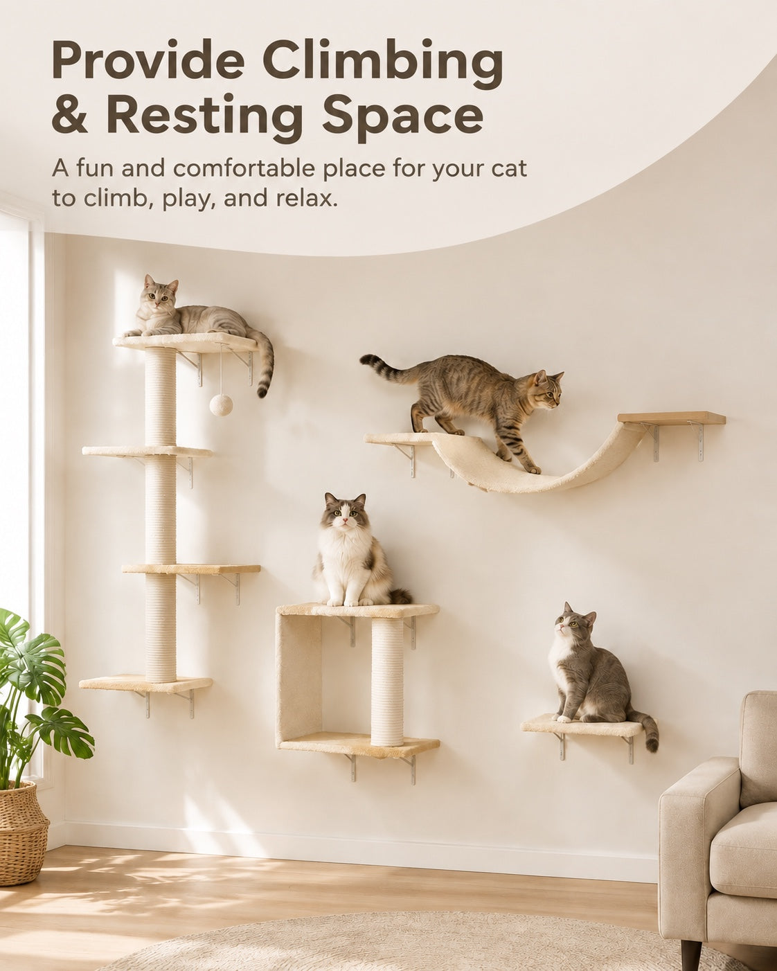 The Wall Climbing Set