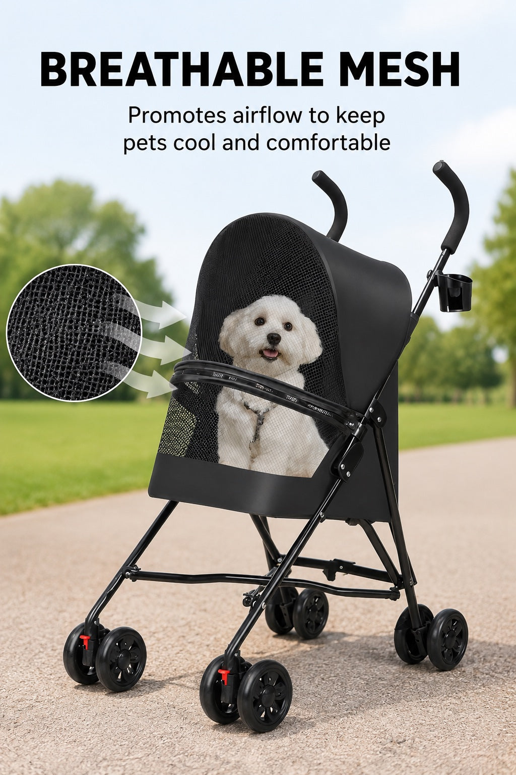 The Everyday Stroller — visual 2